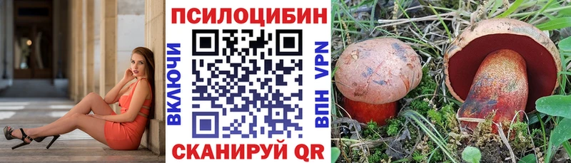 где можно купить   блэк спрут ссылка  Псилоцибиновые грибы Psilocybe  Нижняя Салда 